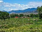 Everson Ranch, cattle - John Lorenz